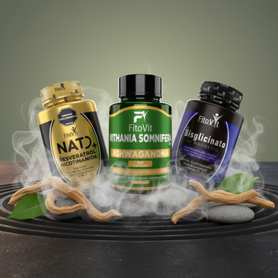 Combo Bisglicinato Ashwagandha NAD Fitovit con raíces y piedras zen